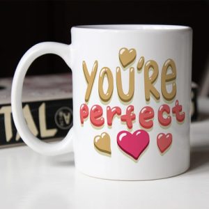 you're-perfecr-solja-sa-stampom You're Perfect